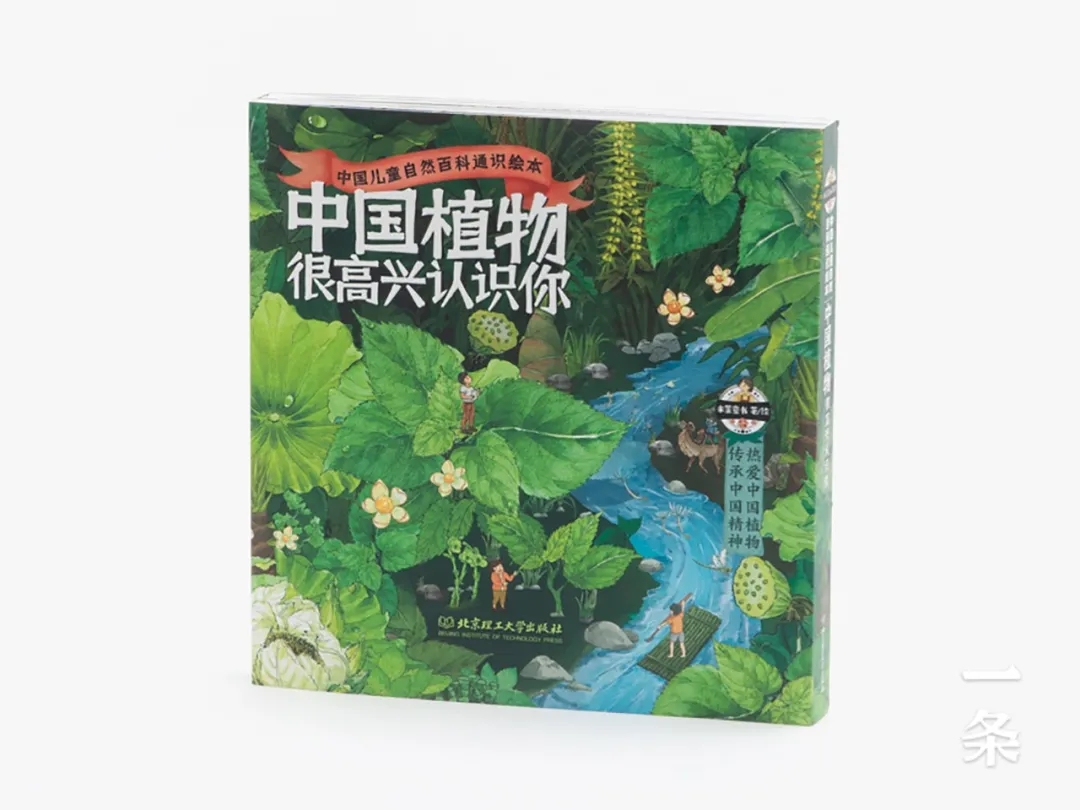 《中國植物，很高興認識你》：給中國孩子的植物小百科，400幅全彩手繪，每一頁都是藝術