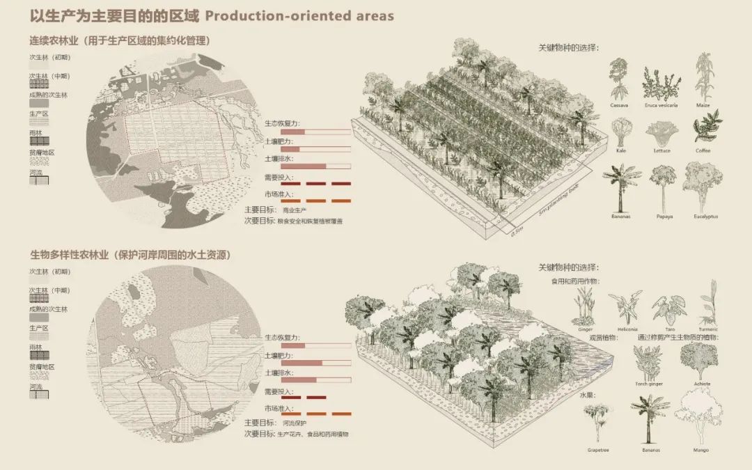 從沖突到融合：基于農(nóng)牧林復(fù)合土地利用的巴西雨林景觀修復(fù) | 吳麗紅、邵家軒、楊博涵、孫膺淇、朱紫薇