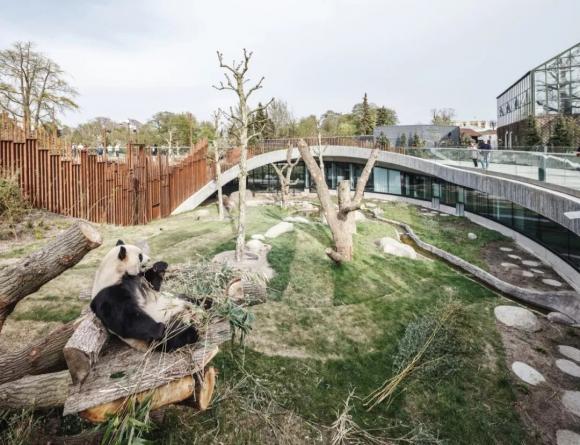 丹麥哥本哈根動物園陰陽熊貓館建筑設(shè)計 | BIG