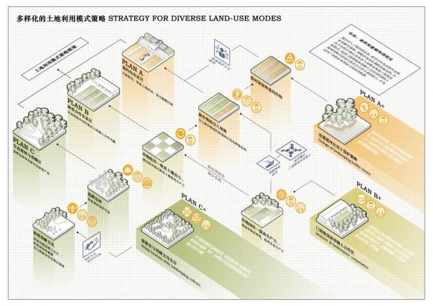 從沖突到和諧：坎佩切州農業、蜜蜂與森林共生系統的構建策略 | 蔣帥、廖天威、胡瀚宇、于騰飛