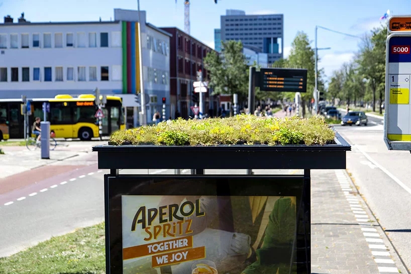 utrecht-bee-bus-stops-designboom-002.webp.jpg