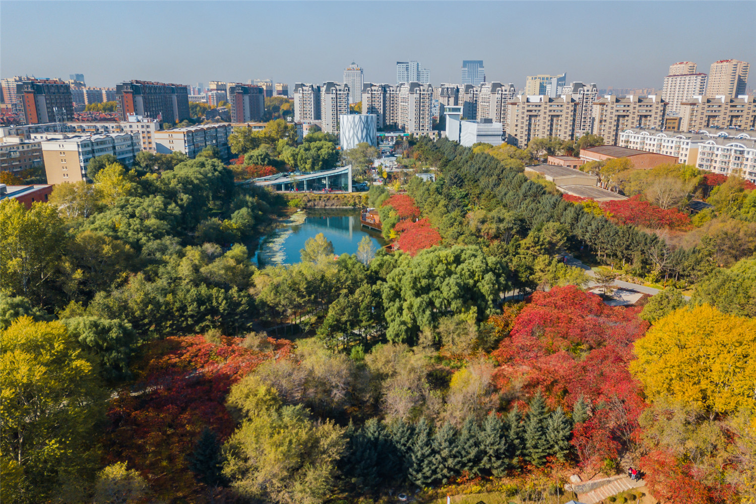 長春水文化生態(tài)園 (26).jpg