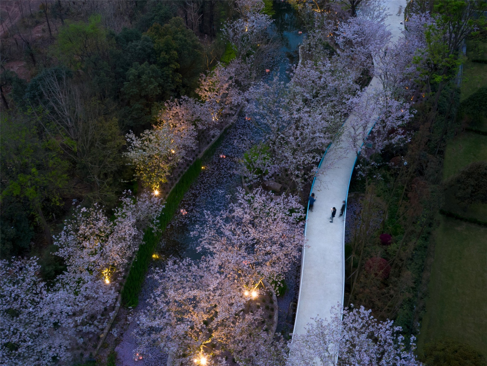 1.一處蜿蜒柔軟的自然河岸空間.jpg